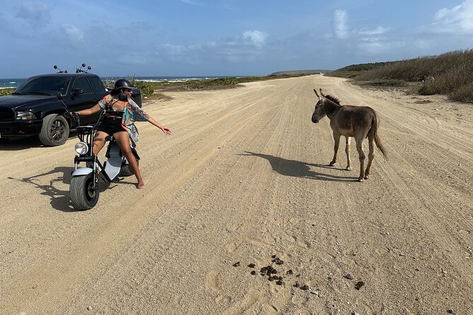 1/2 Day (4 hour) Electric Scooter Rental in Aruba - Riding toward the California Lighthouse