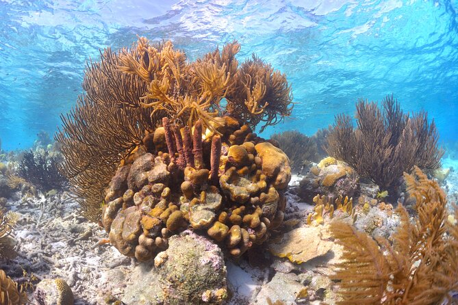100% Private Charter Snorkel, Sail, Relax (Cruisers Friendly) - Why a Private Boat Changes the Day