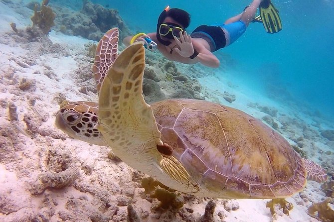 100% Private Charter Snorkel, Sail, Relax (Cruisers Friendly) - 1000 Steps and a Chance to Spot Turtles