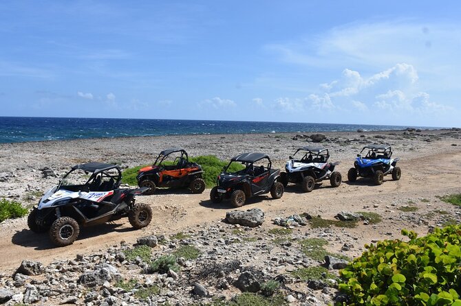 2-Hour Buggy Adventure Tour in Curacao - Guides who make the difference