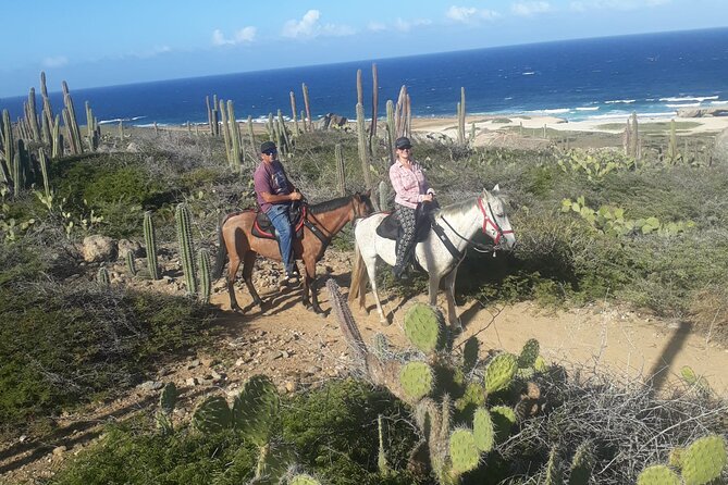 2-Hour Horseback Riding Tour to Little Natural Bridge in Aruba - Horse care and the pace of the outing