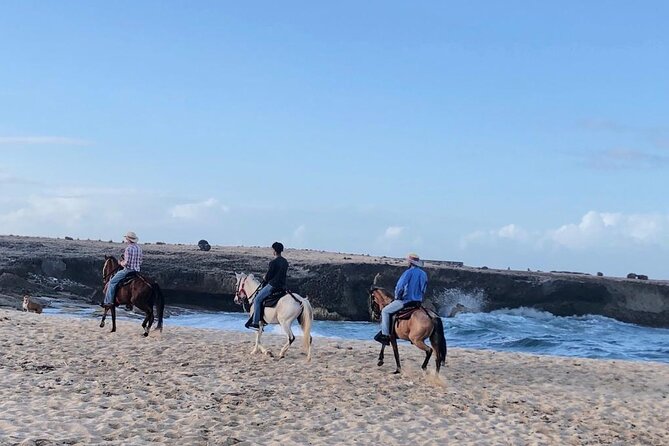 2-Hour Horseback Riding Tour to Little Natural Bridge in Aruba - Is $116 a fair price?