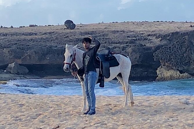 2-Hour Horseback Riding Tour to Little Natural Bridge in Aruba - Who should book this horseback ride?