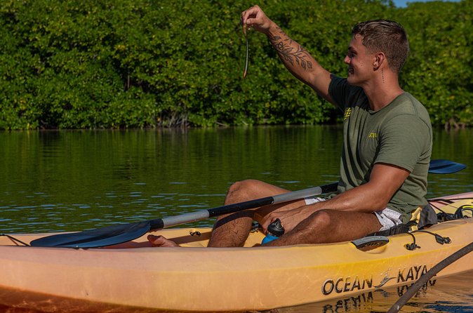2 Hour Mangrove Kayak and Snorkel Tour - Who Will Enjoy This Tour Most