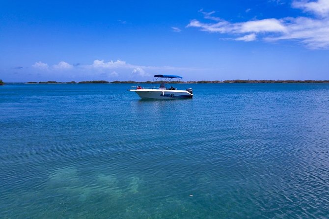2 hour private boat tour - Spanish Waters, Swim Stop & Boarding - Santa Barbara Pier and the swim stop