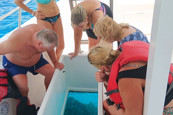 2 Hours Turtle Feeding, Shipwreck & Reef Snorkeling Tour Barbados - Starting at Folkestone Marine Park in Holetown