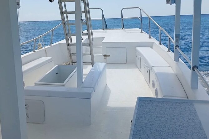 2 Hours Turtle Feeding, Shipwreck & Reef Snorkeling Tour Barbados - The slide, jump platform, and family appeal