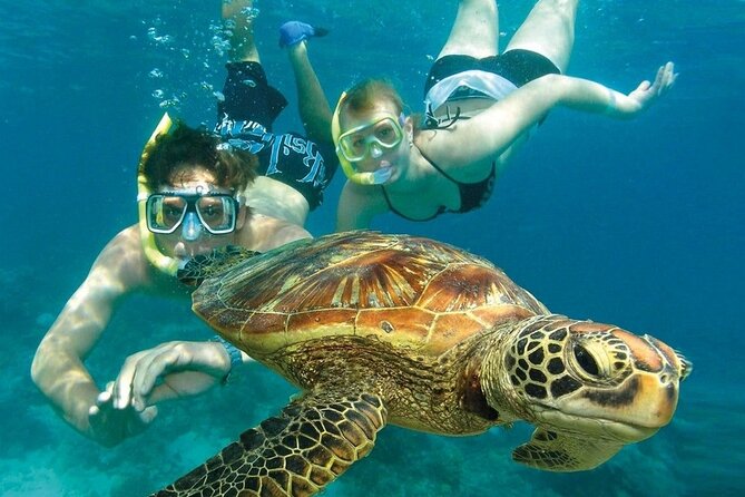 2 Hours Turtle Feeding, Shipwreck & Reef Snorkeling Tour Barbados - Crew quality and the value of a small boat