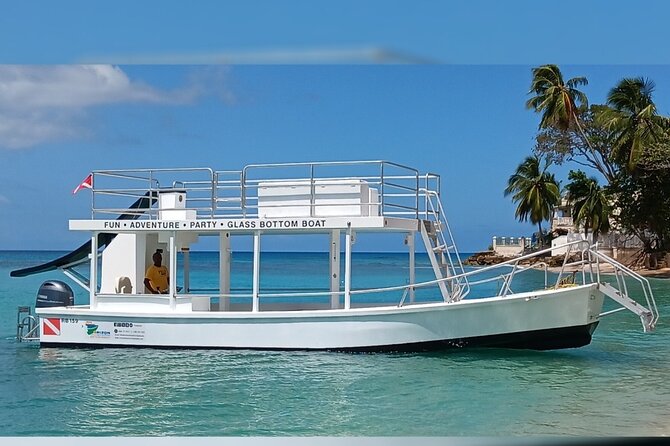 2 Hours Turtle Feeding, Shipwreck & Reef Snorkeling Tour Barbados - Is $65 a good value?