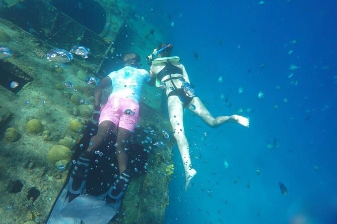 2 Hours Turtle Feeding, Shipwreck & Reef Snorkeling Tour Barbados - What to bring and how to choose your time