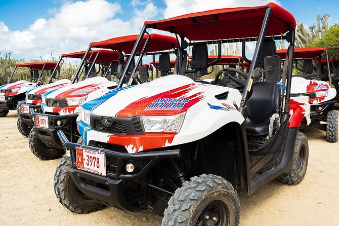 2-Seater UTV Island Tour in Aruba - Why a UTV is a smart way to see Aruba