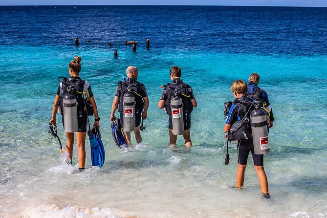 2 Tank Guided Dive half-day - Is $145 a fair price?