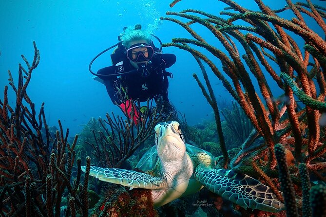 2 Tank Guided Dive half-day - My call: a strong choice for flexible certified divers