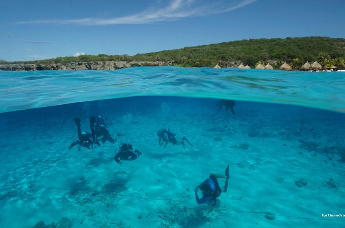 2 tank guided dive House Reef (Pierbaai Reef and Car Pile) - Is $109 a fair price?