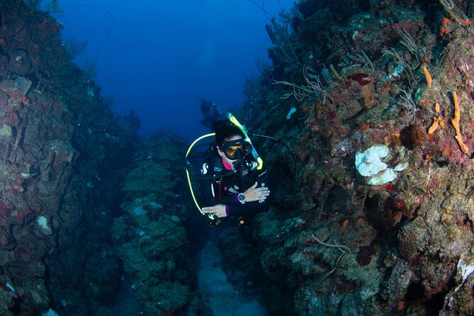 2-Tank Scuba Boat Trip in World-Class Sites @ Copamarina - What your five-hour morning looks like