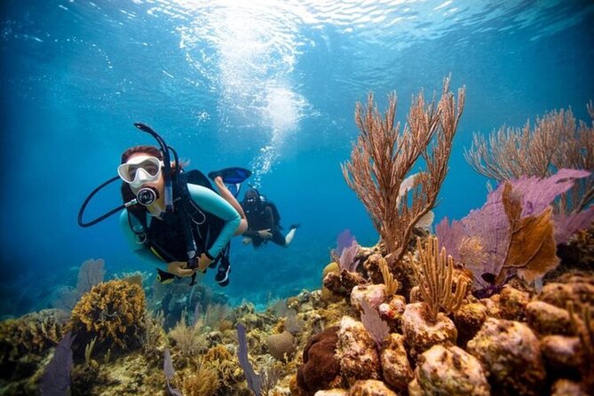 2-Tank Scuba Boat Trip in World-Class Sites @ Copamarina - Small-group supervision without a resort production