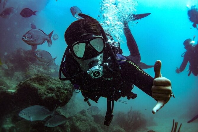 2-Tank Scuba Boat Trip in World-Class Sites @ Copamarina - Is $235 a fair price?