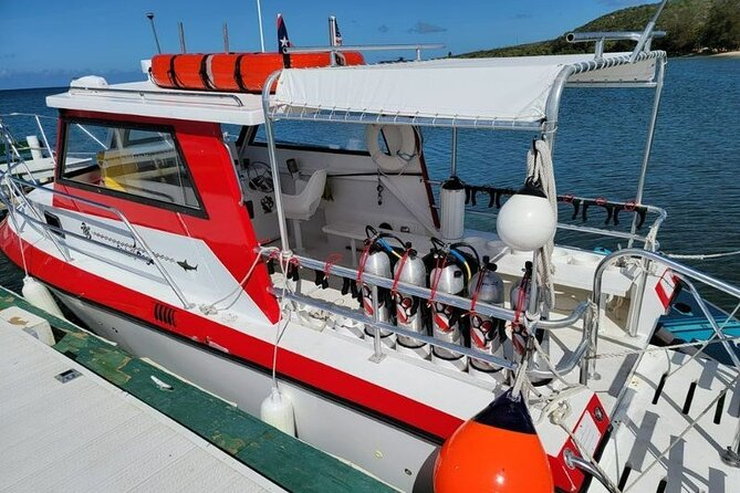 2-Tank Scuba Boat Trip in World-Class Sites @ Copamarina - Who should book this outing?
