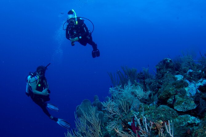 2-Tank Scuba Boat Trip in World-Class Sites @ Copamarina - The Epicenter: coral life around a fresh geological feature