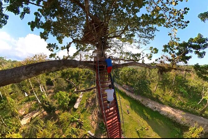 2in1: Los Haitises National Park + Yanigua Waterfall-SPA - Dominican lunch and what the $129 price covers