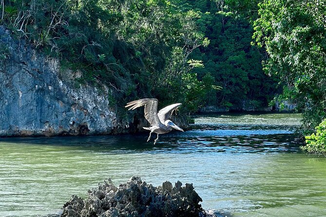 2in1: Los Haitises National Park + Yanigua Waterfall-SPA - Group size, comfort, and the pace of the day