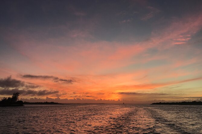 3 hour Glow Worm Sunset Cruise from Providenciales - The glow worm viewing: what you may actually see