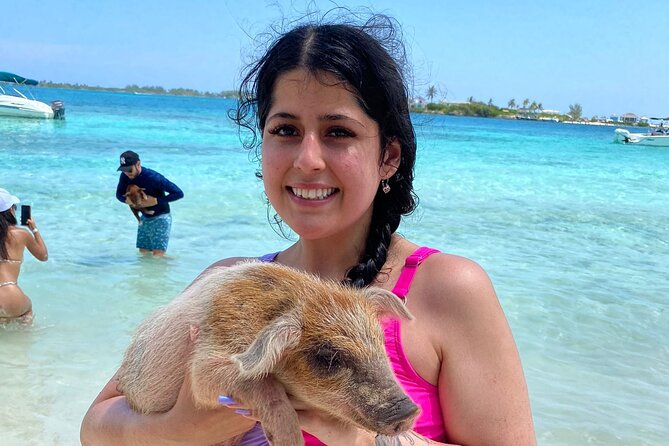 3 Islands Private Group Excursion (4hrs) - The Pig Island Decision Costs $25 Extra