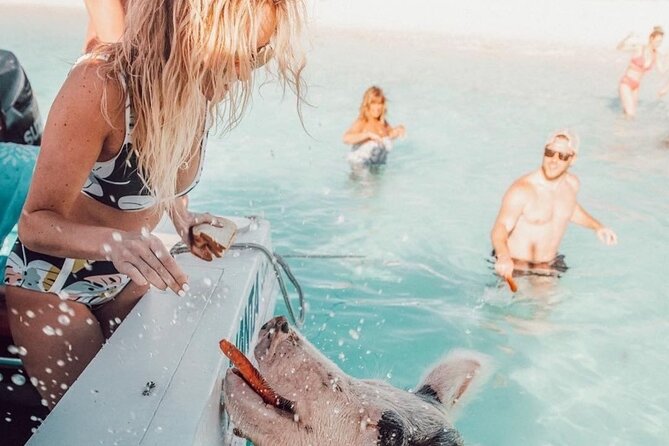 3 Islands Tour, Swim with Pigs, Turtles, Snorkelling & lunch - Timing, weather, and the three-hour concern