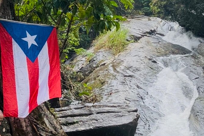 3 Tours in 1 Day: Old San Juan, Rainforest, Beach with Transport - Old San Juan by vehicle and photo stop