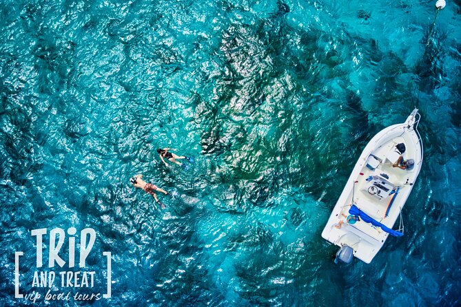 3H or 4H | Private Boat Trip | Swim, Board or Snorkel - The Tugboat Wreck is the main underwater stop