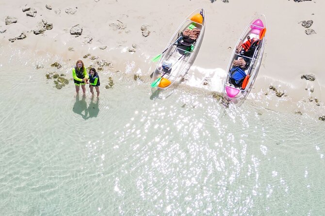 3HR Clear Kayak Mangrove and iguana island Tour in Leeward - What this Leeward kayak trip is really like
