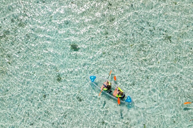 3HR Clear Kayak Mangrove and iguana island Tour in Leeward - Guides, communication, and the small-group experience