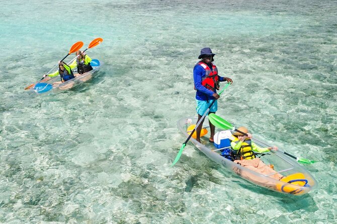 3HR Clear Kayak Mangrove and iguana island Tour in Leeward - Little Water Cay and its rock iguanas