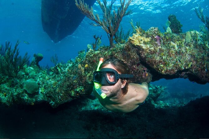 3HR Emerald reef snorkeling, iguana island and shipwreck tour - Emerald Reef starts the three-hour adventure