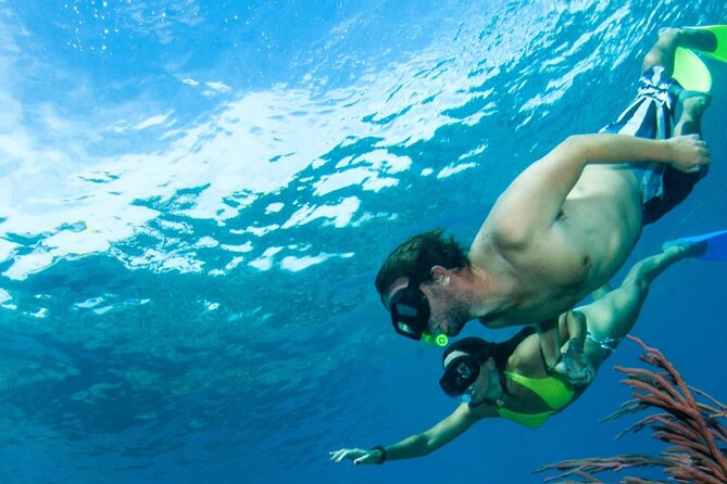 3HR Emerald reef snorkeling, iguana island and shipwreck tour - Food and drinks make the short trip feel fuller