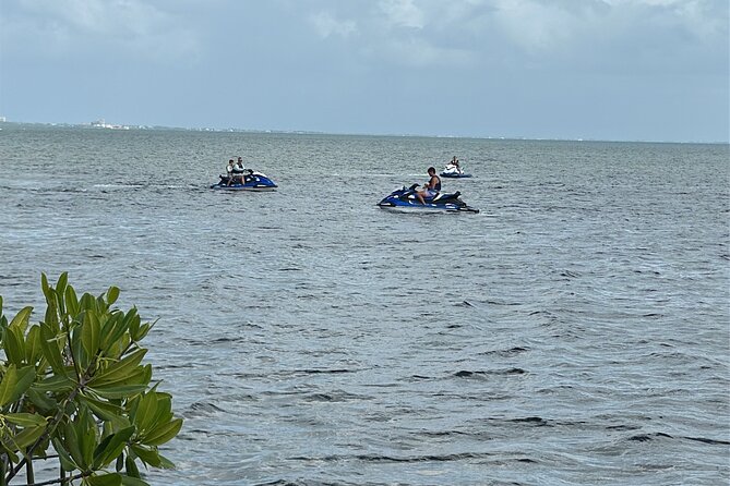 3HR Full Island Life Jetski Tour - Stingray City: the tour’s main wildlife encounter