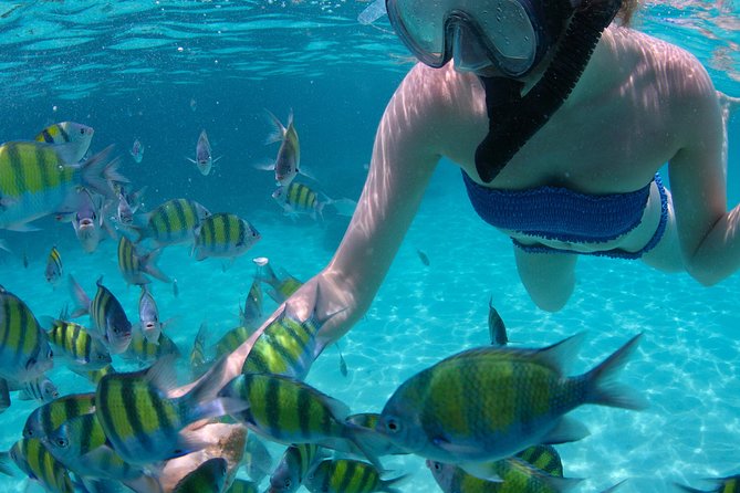 4-Hour Catamaran Sail and Snorkel Tour from Grace Bay - What the $145.84 price includes