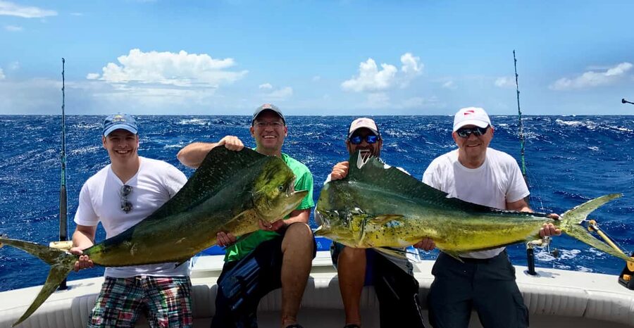 4 hour deep sea fishing experience from punta cana - Key facts before you book