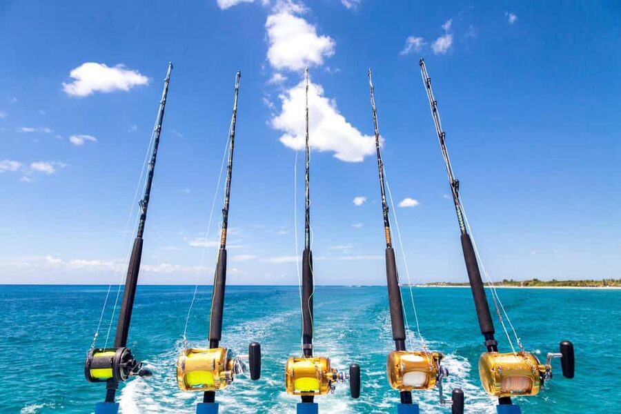 4 hour deep sea fishing experience from punta cana - What the Punta Cana fishing day is really like