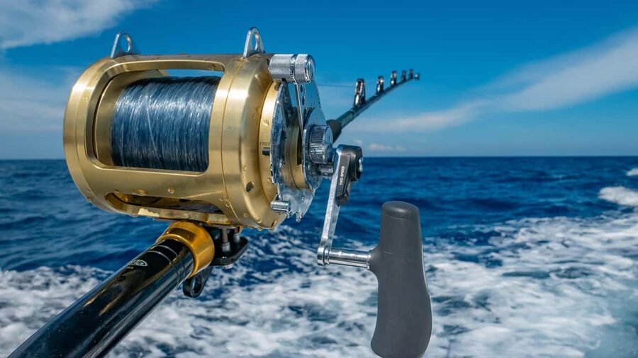 4 hour deep sea fishing experience from punta cana - Four hours of trolling in open Caribbean water