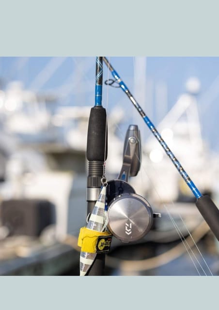 4 hour deep sea fishing experience from punta cana - Who will enjoy this most?
