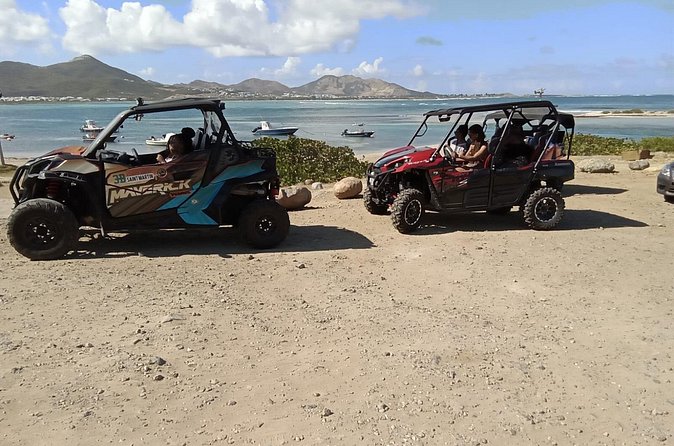 4 Hour Guided UTV Side By Side Tour - Iguana feeding keeps the route lively