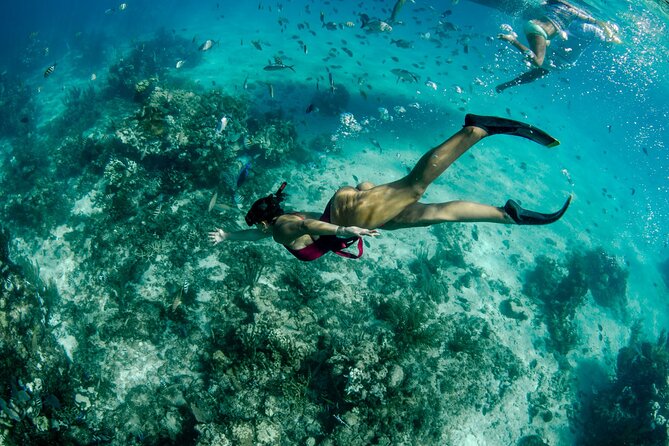 4 hour Private Boat charter to Stingray City, Snorkeling and More - Starfish Beach adds a slower final stop