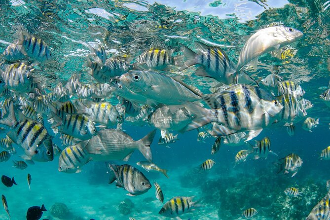 4 hour Private Boat charter to Stingray City, Snorkeling and More - The crew makes the private format work