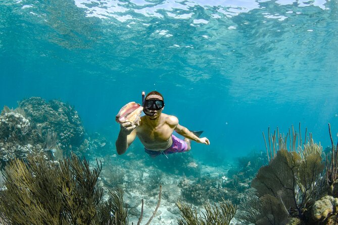 4 hour Private Boat charter to Stingray City, Snorkeling and More - Timing, pickup, and what to bring