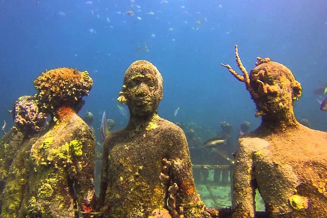 4-hour snorkel cruise to Underwater Sculptures with boat dogs - Lunch, rum punch, and the value of the $85 fare