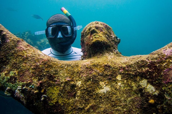 4-hour snorkel cruise to Underwater Sculptures with boat dogs - The boat dogs are part of the appeal, with one important caveat