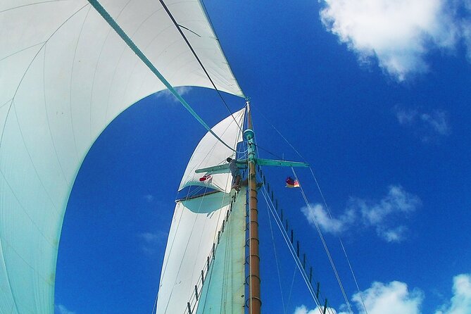 4-hour snorkel cruise to Underwater Sculptures with boat dogs - How the four-hour schedule usually feels