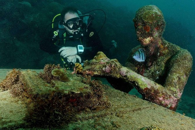4-hour snorkel cruise to Underwater Sculptures with boat dogs - Meeting points, transfers, and a little planning