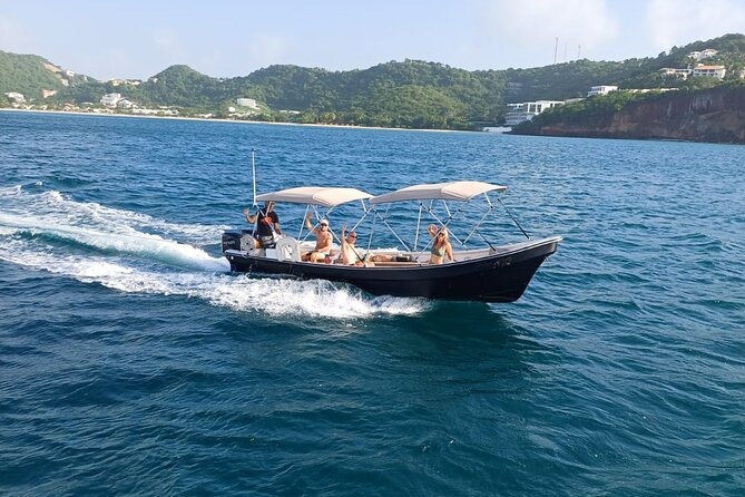 4-hour snorkel cruise to Underwater Sculptures with boat dogs - What the crew adds to the experience